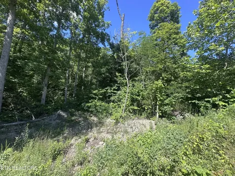 1020 Tomahawk Road Jamestown TN 38556