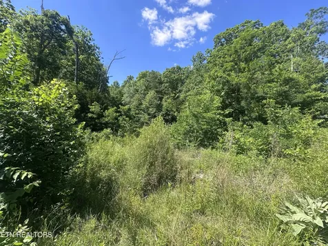 1020 Tomahawk Road Jamestown TN 38556