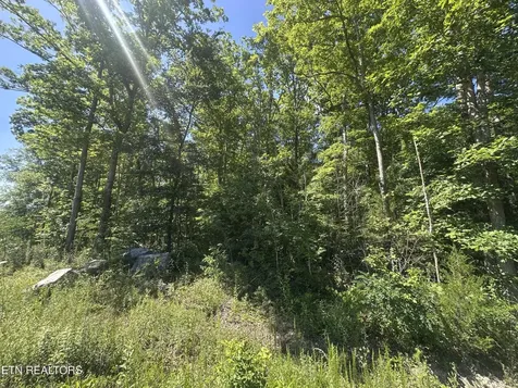 1020 Tomahawk Road Jamestown TN 38556