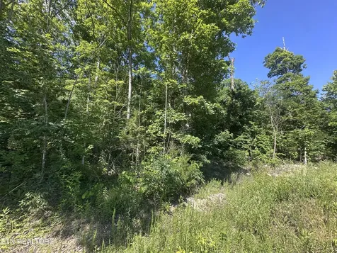 1020 Tomahawk Road Jamestown TN 38556