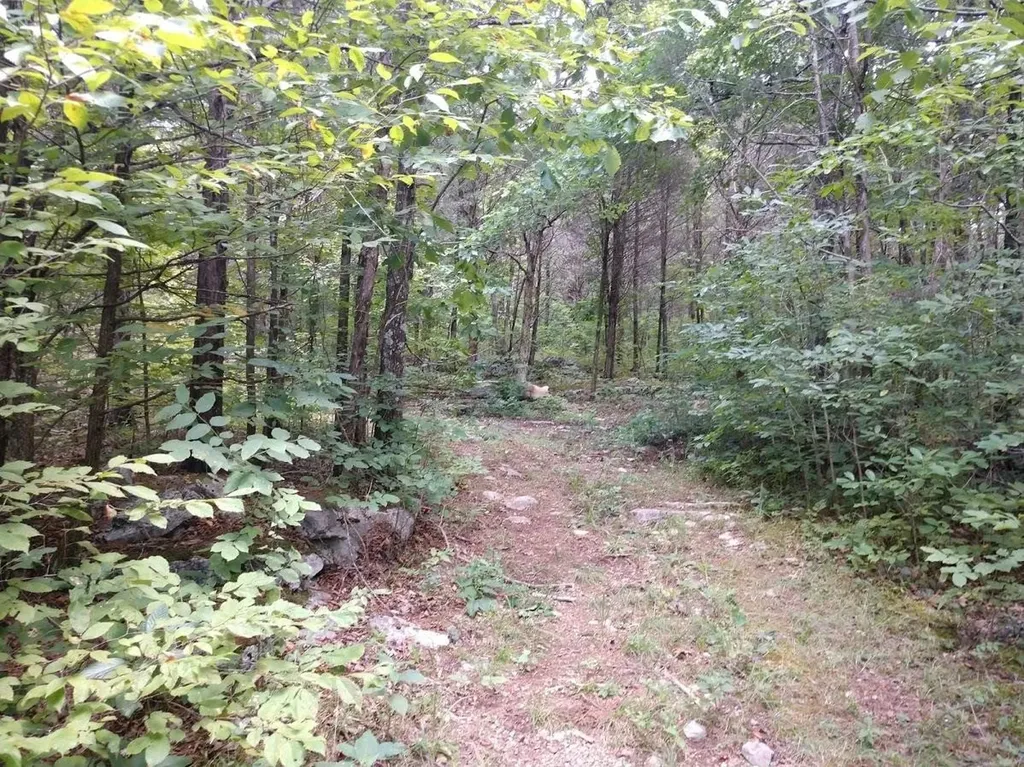 2366 Tracy Road Watertown TN 37184