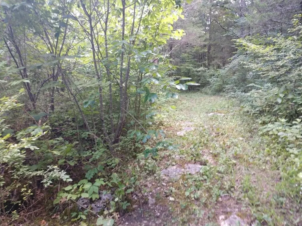2366 Tracy Road Watertown TN 37184