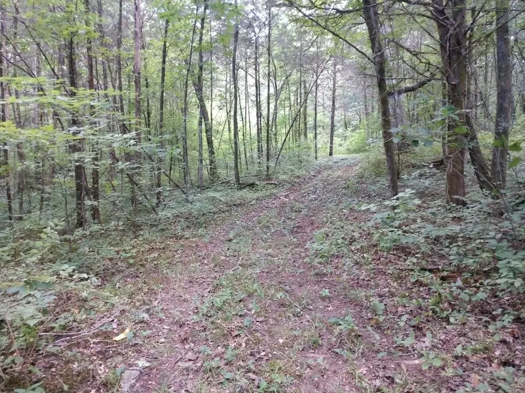 2366 Tracy Road Watertown TN 37184