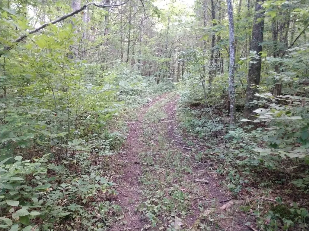 2366 Tracy Road Watertown TN 37184