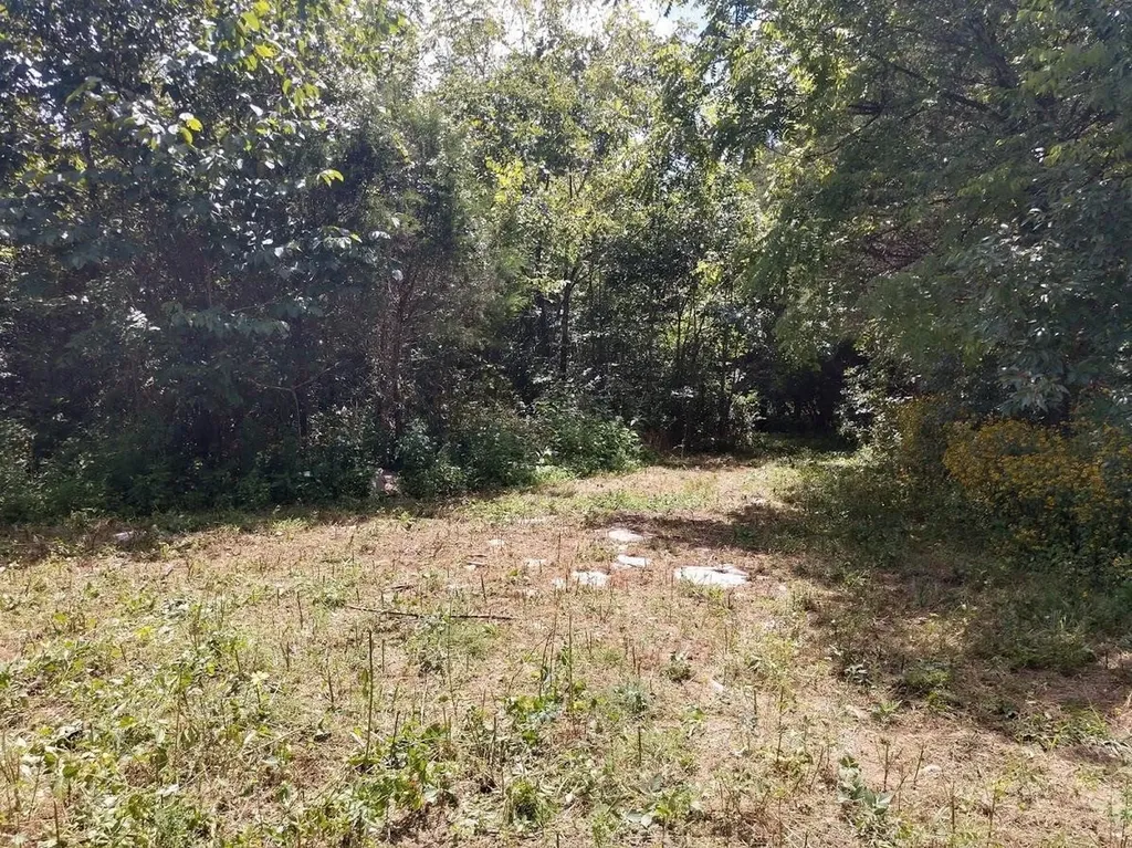 2366 Tracy Road Watertown TN 37184