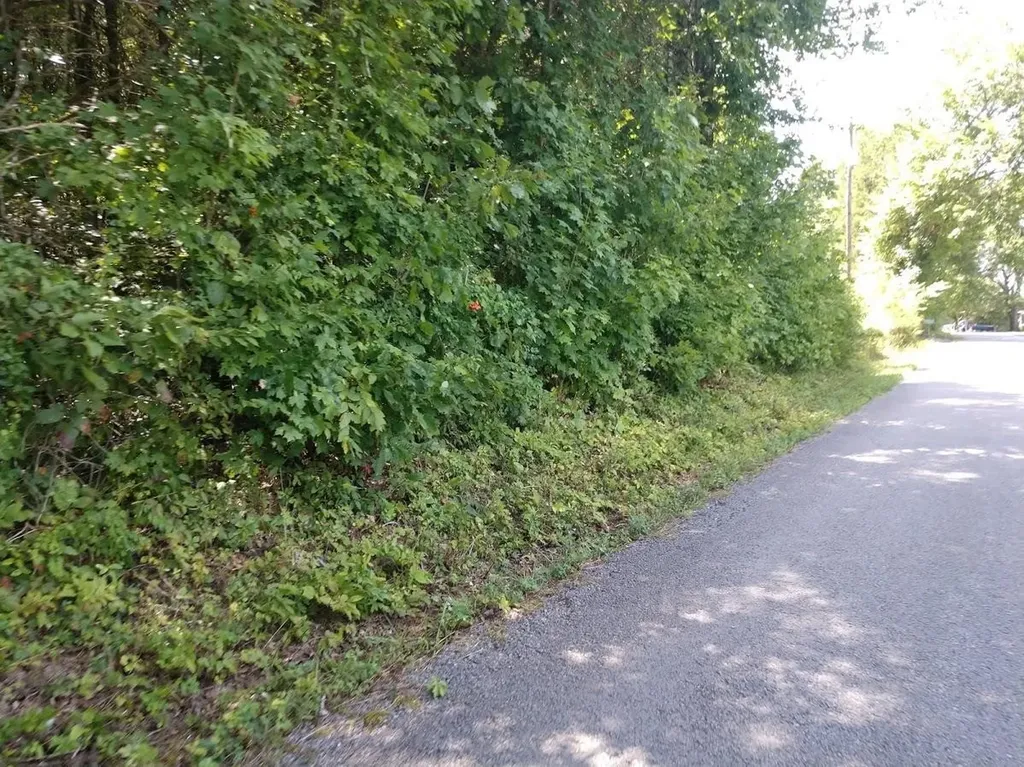 2366 Tracy Road Watertown TN 37184