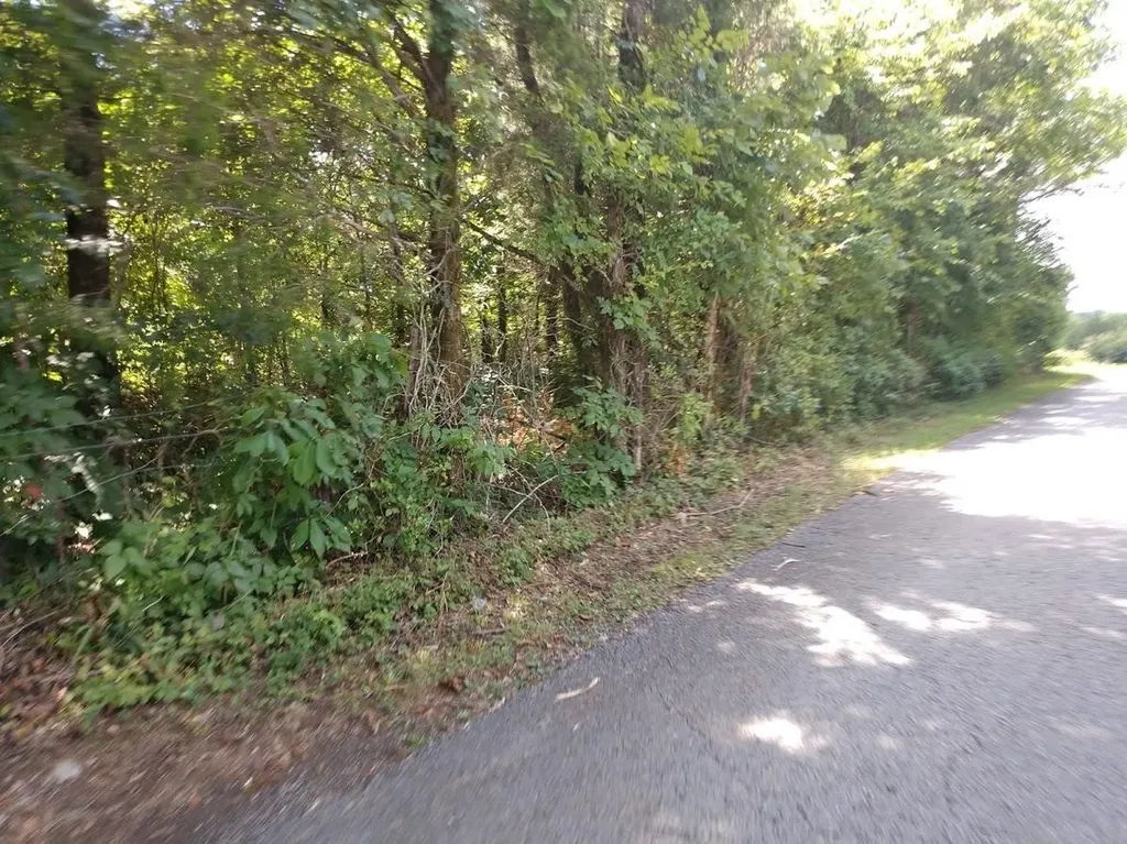 2366 Tracy Road Watertown TN 37184