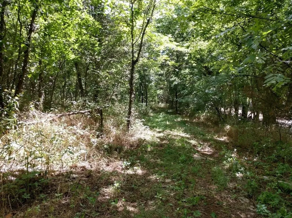 2366 Tracy Road Watertown TN 37184