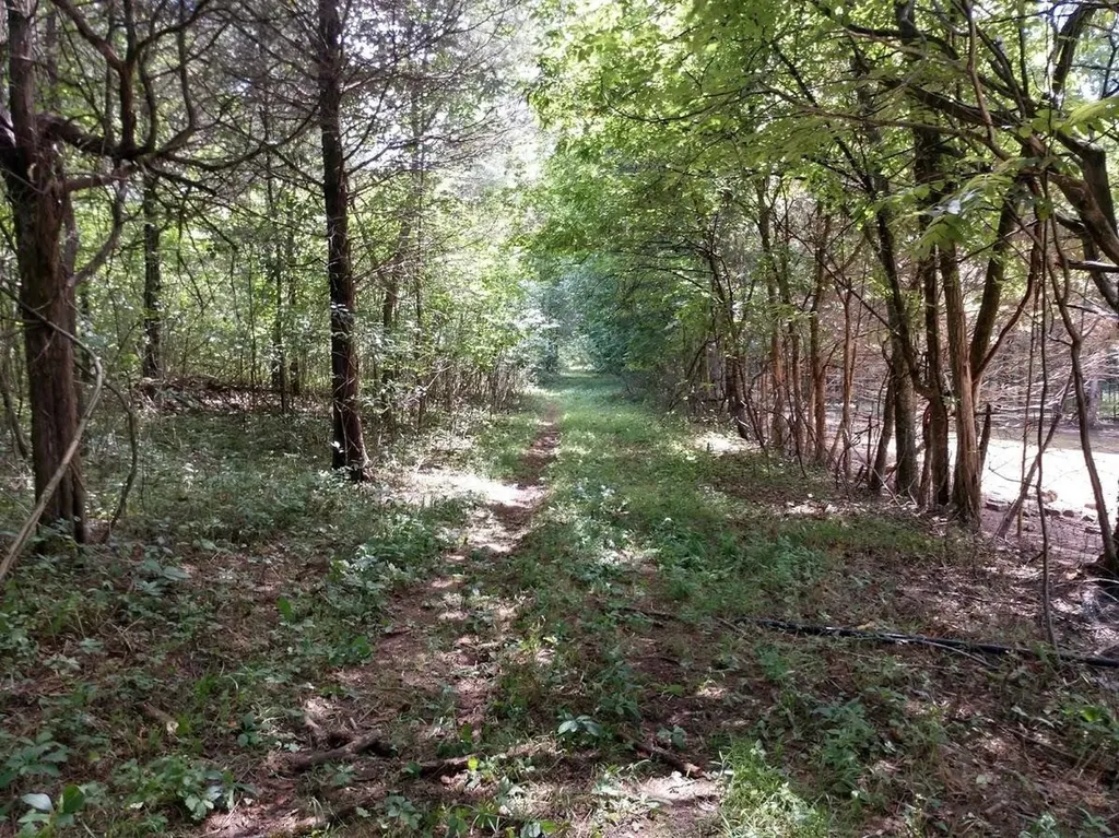 2366 Tracy Road Watertown TN 37184