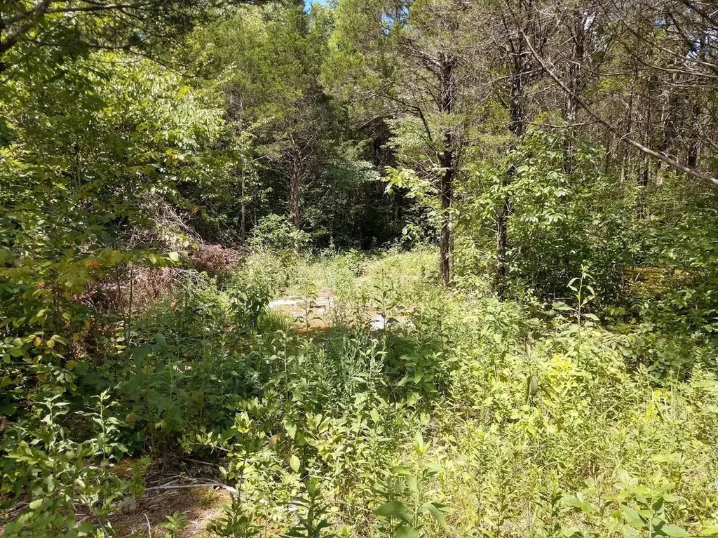 2366 Tracy Road Watertown TN 37184