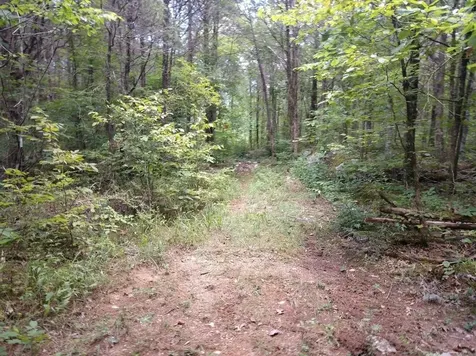 2366 Tracy Road Watertown TN 37184
