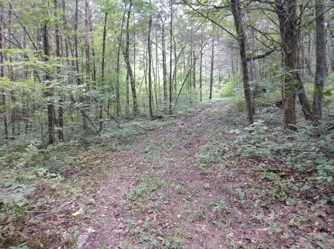 2366 Tracy Road Watertown TN 37184