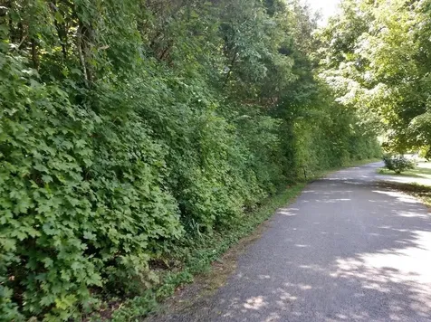 2366 Tracy Road Watertown TN 37184