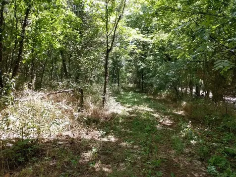 2366 Tracy Road Watertown TN 37184