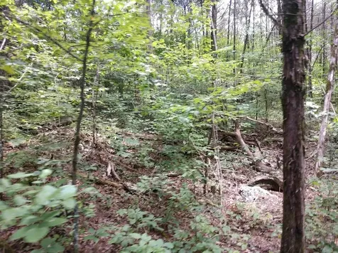 2366 Tracy Road Watertown TN 37184
