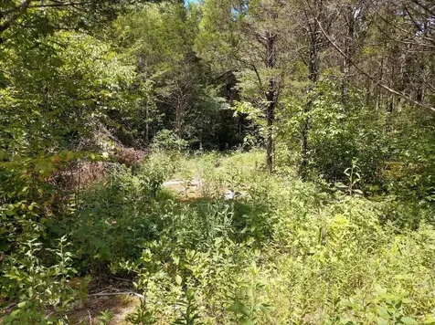 2366 Tracy Road Watertown TN 37184