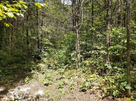 2366 Tracy Road Watertown TN 37184