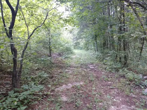 2366 Tracy Road Watertown TN 37184