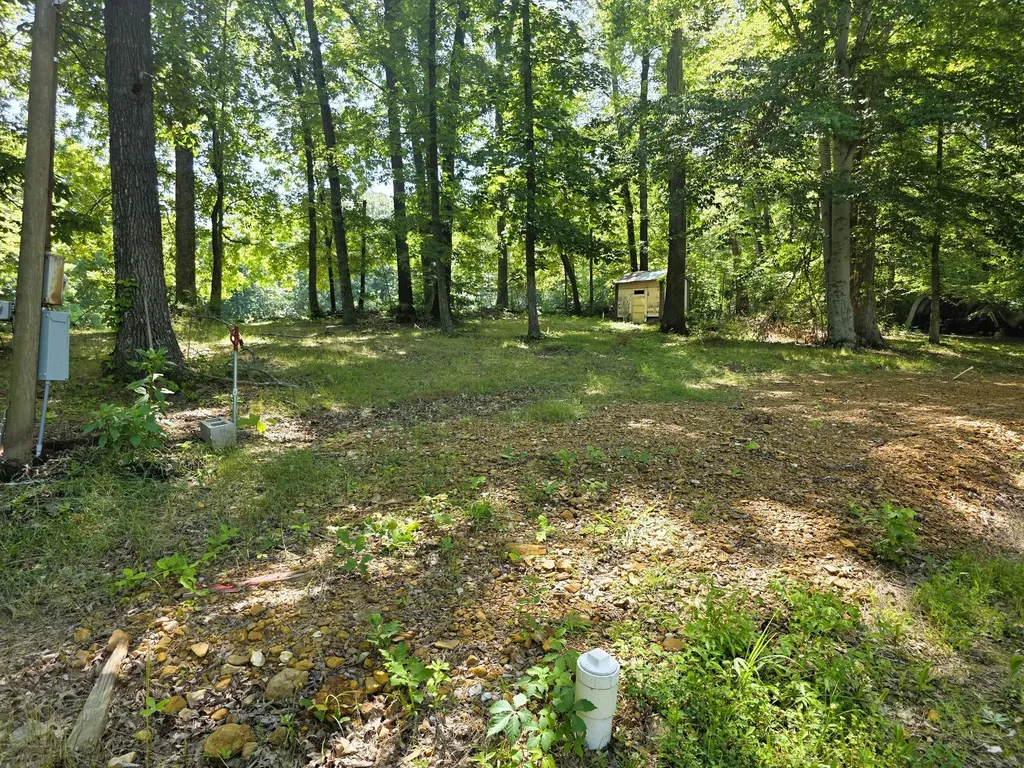 12225 Off Highway 79 N Buchanan TN 38222