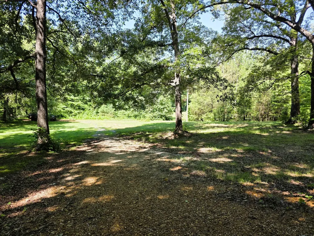 12225 Off Highway 79 N Buchanan TN 38222