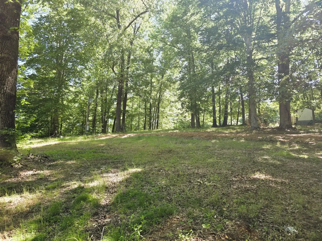 12225 Off Highway 79 N Buchanan TN 38222