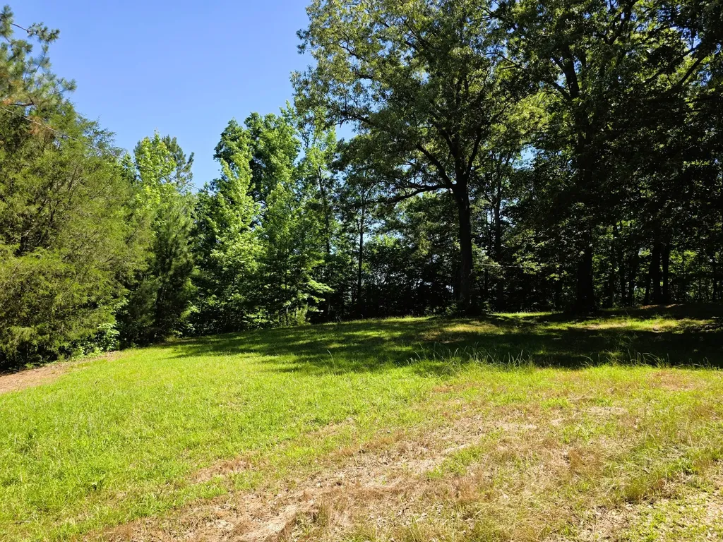 12225 Off Highway 79 N Buchanan TN 38222