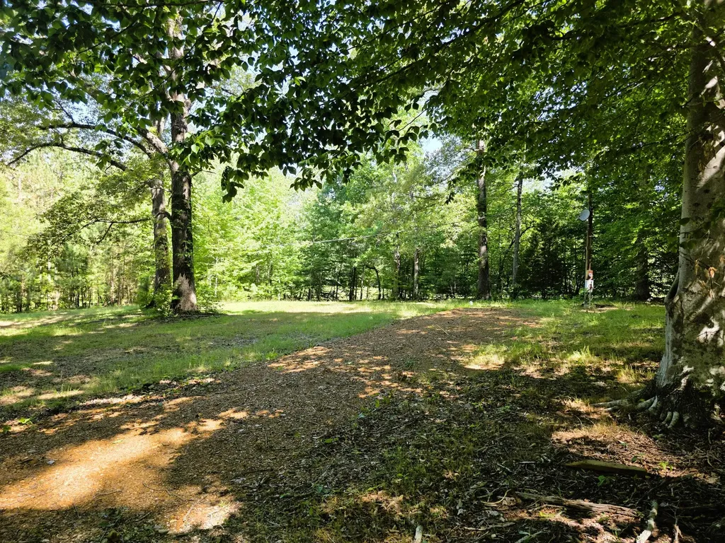 12225 Off Highway 79 N Buchanan TN 38222