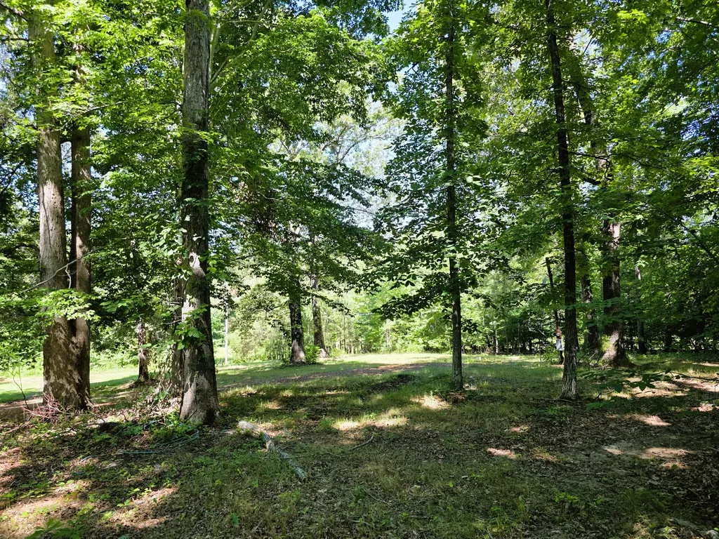 12225 Off Highway 79 N Buchanan TN 38222