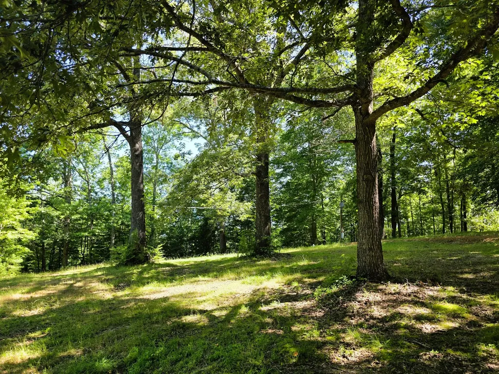 12225 Off Highway 79 N Buchanan TN 38222