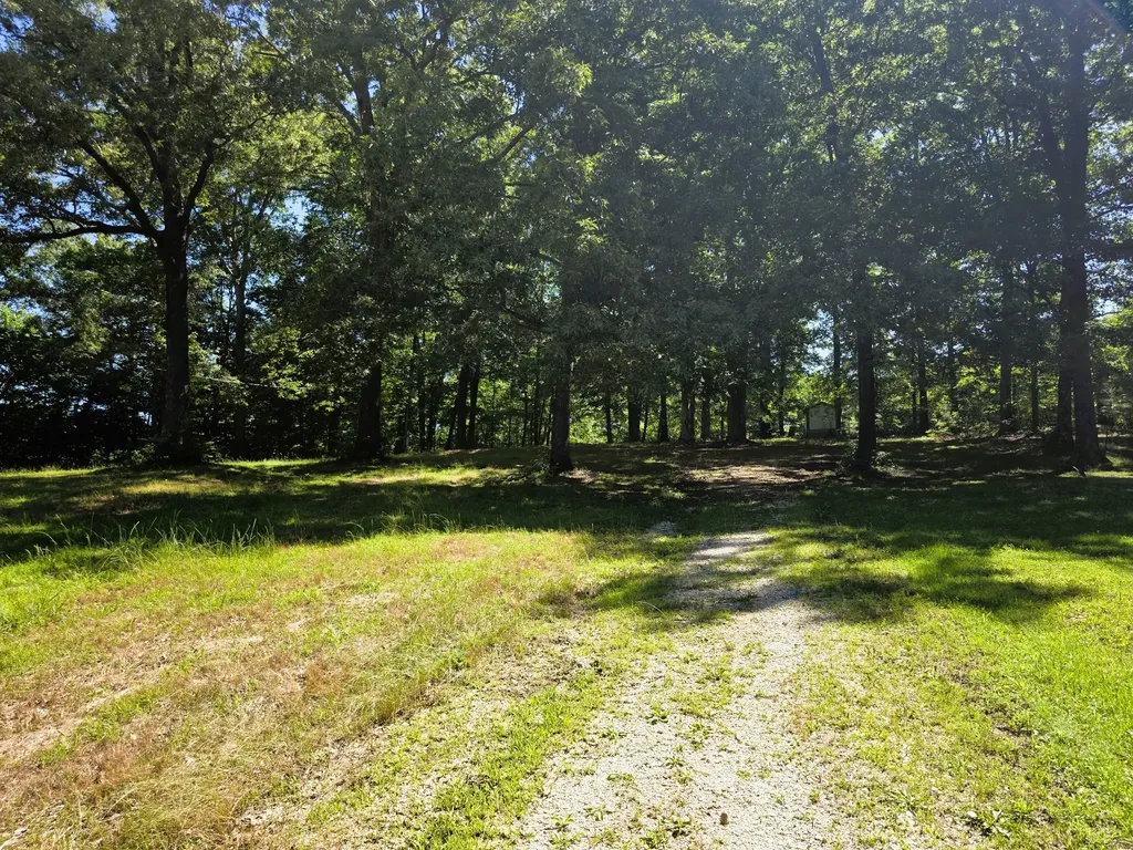 12225 Off Highway 79 N Buchanan TN 38222