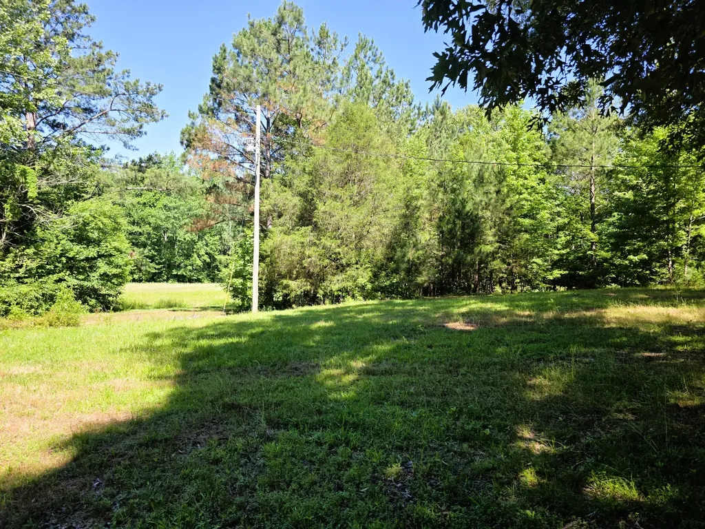 12225 Off Highway 79 N Buchanan TN 38222