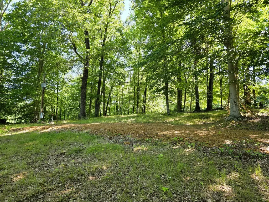 12225 Off Highway 79 N Buchanan TN 38222