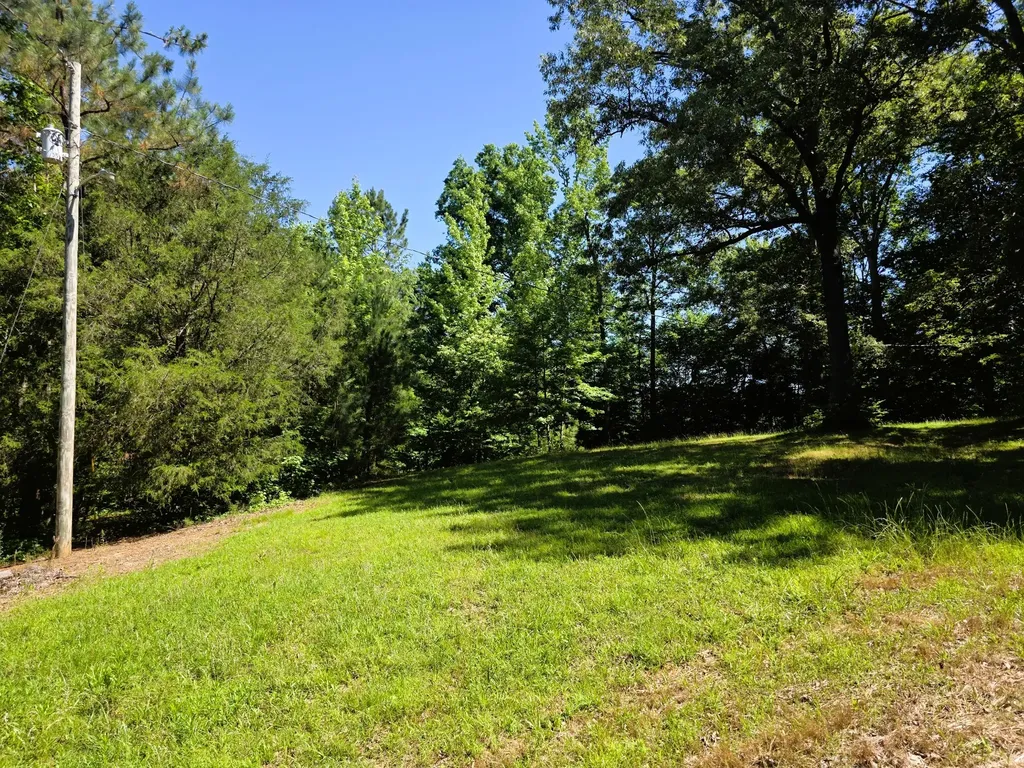 12225 Off Highway 79 N Buchanan TN 38222