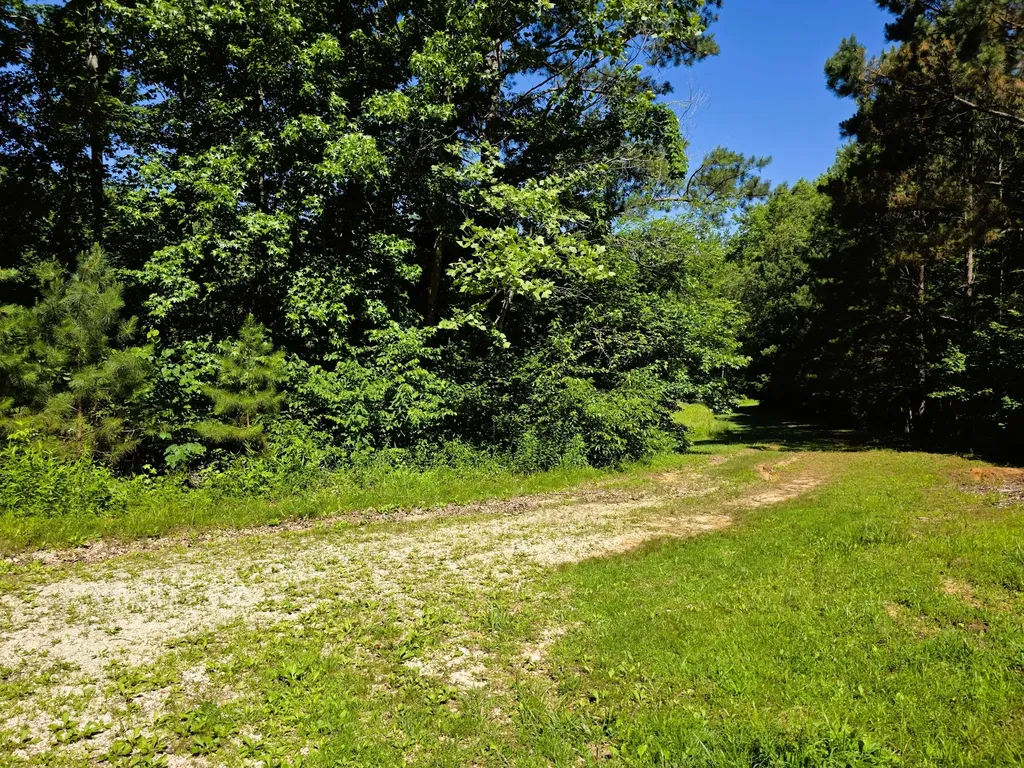 12225 Off Highway 79 N Buchanan TN 38222