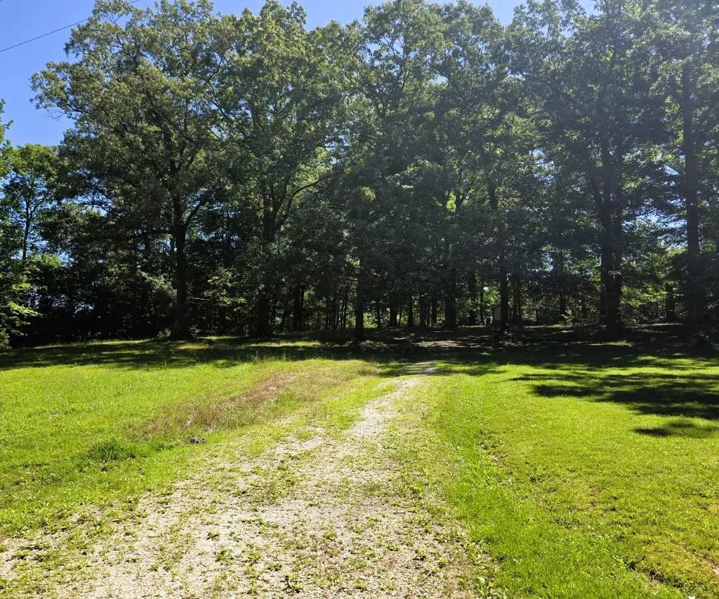 12225 Off Highway 79 N Buchanan TN 38222