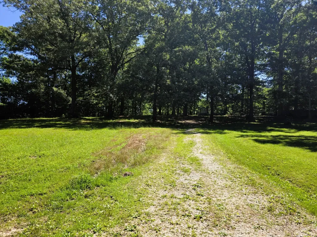12225 Off Highway 79 N Buchanan TN 38222