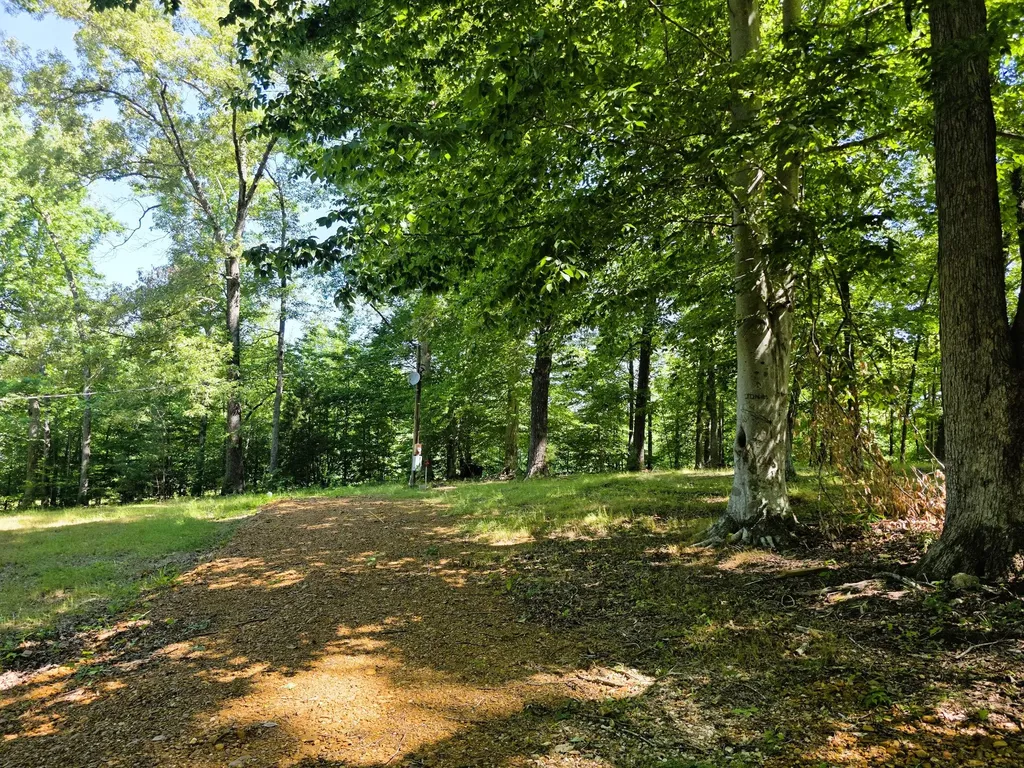 12225 Off Highway 79 N Buchanan TN 38222