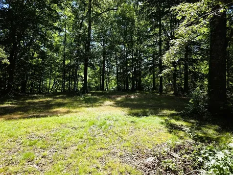 12225 Off Highway 79 N Buchanan TN 38222