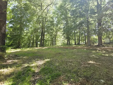 12225 Off Highway 79 N Buchanan TN 38222