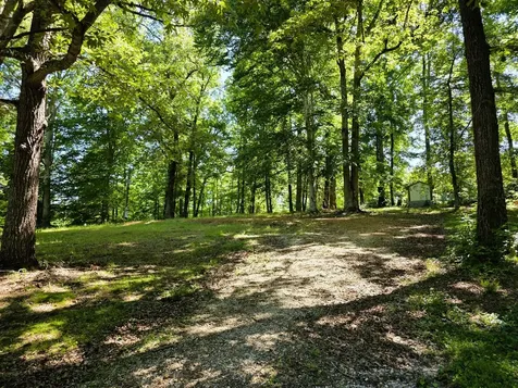 12225 Off Highway 79 N Buchanan TN 38222
