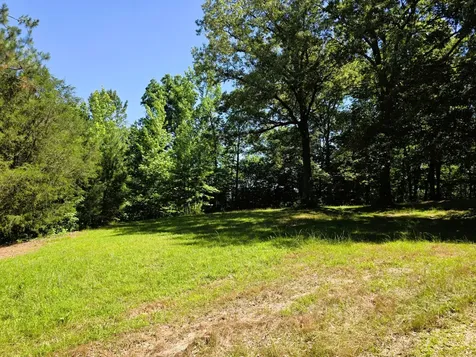12225 Off Highway 79 N Buchanan TN 38222
