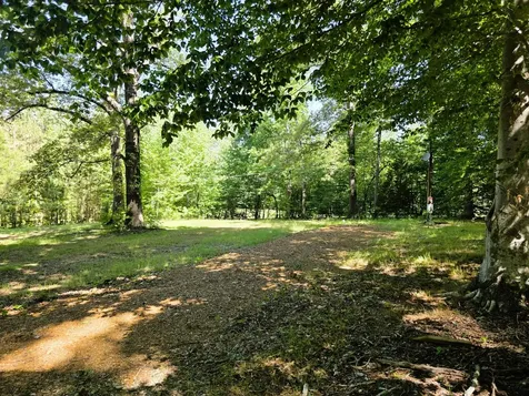12225 Off Highway 79 N Buchanan TN 38222