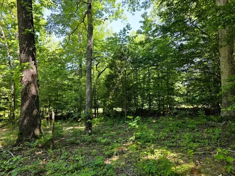 12225 Off Highway 79 N Buchanan TN 38222