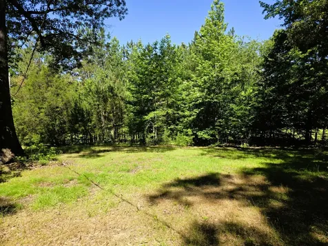 12225 Off Highway 79 N Buchanan TN 38222