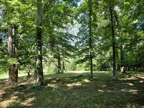 12225 Off Highway 79 N Buchanan TN 38222