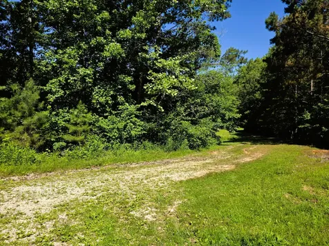 12225 Off Highway 79 N Buchanan TN 38222