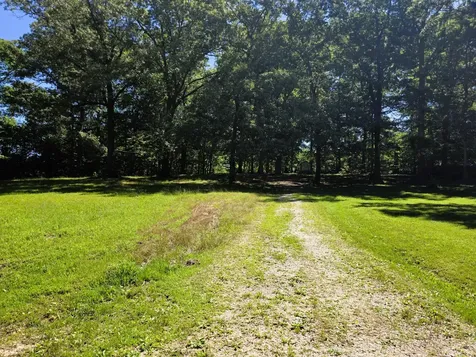 12225 Off Highway 79 N Buchanan TN 38222