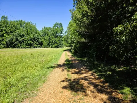 12225 Off Highway 79 N Buchanan TN 38222