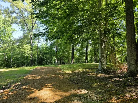 12225 Off Highway 79 N Buchanan TN 38222