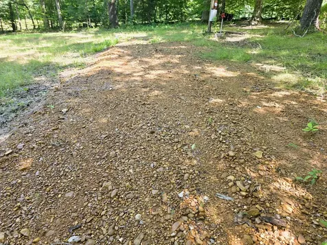 12225 Off Highway 79 N Buchanan TN 38222